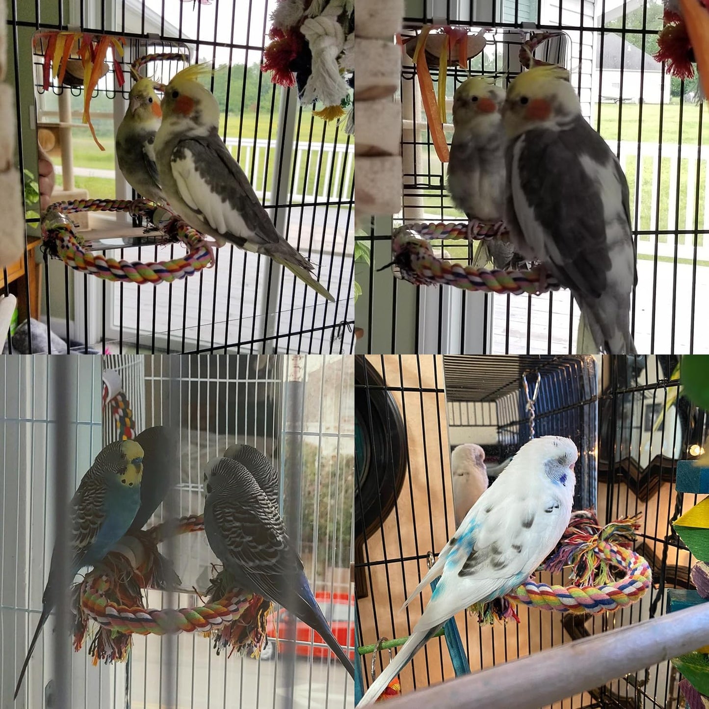 7 Inch Stainless Steel Bird Mirror with Rope Perch, Bird Toys Swing